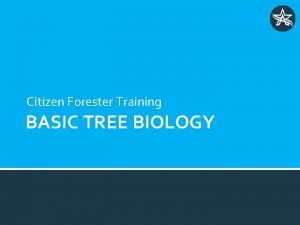 Citizen Forester Training BASIC TREE BIOLOGY OBJECTIVES Identify