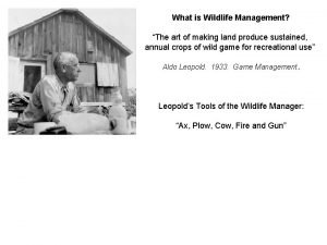 Wildlife management as an art