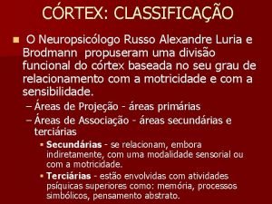 CRTEX CLASSIFICAO n O Neuropsiclogo Russo Alexandre Luria