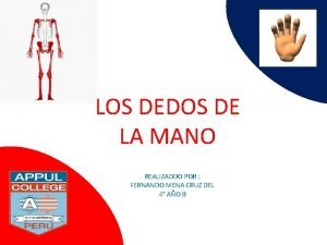 LOS DEDOS DE LA MANO REALIZADDO POR FERNANDO