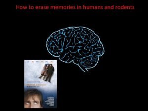 How to erase memories in humans and rodents