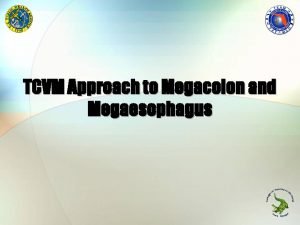 TCVM Approach to Megacolon and Megaesophagus Mega Introduction