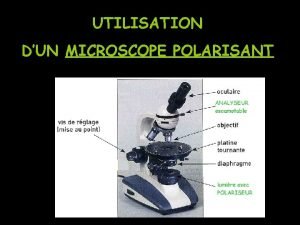 UTILISATION DUN MICROSCOPE POLARISANT PRINCIPE Le microscope polarisant