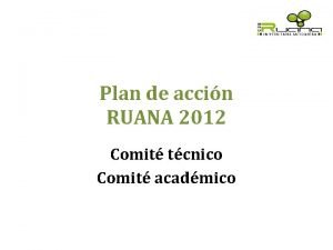 Plan de accin RUANA 2012 Comit tcnico Comit