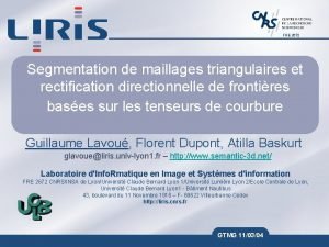 FRE 2672 Segmentation de maillages triangulaires et rectification