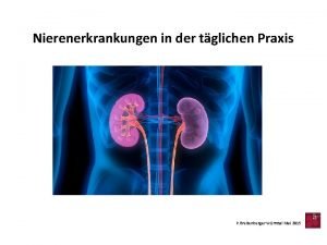 Nierenerkrankungen in der tglichen Praxis P Breitenberger Wrmtal