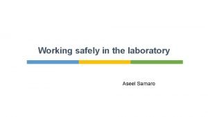 Lab samaro