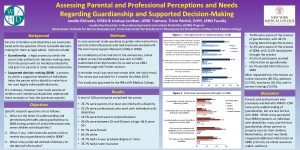 Assessing Parental and Professional Perceptions and Needs Regarding