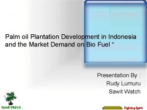 Palm oil Plantation Development in Indonesia and the