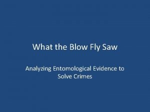 What the blowfly saw lab answers