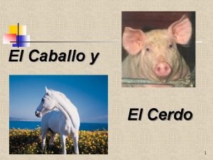 El Caballo y El Cerdo 1 Haba una