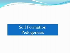Soil Formation Pedogenesis The pedogenic processes Term Brief