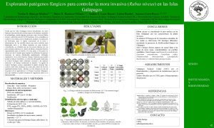 Explorando patgenos fngicos para controlar la mora invasiva