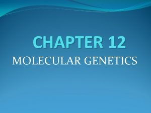 Chapter 12 section 1 dna the genetic material