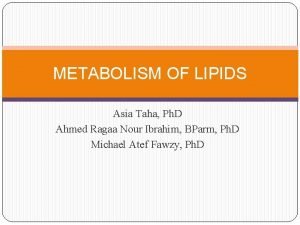 Lipolysis meaning