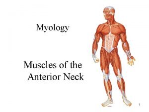 Myology Muscles of the Anterior Neck 1 Muscles