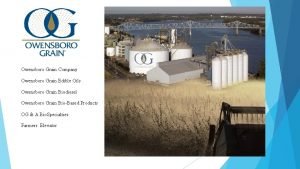 Owensboro grain prices Owensboro grain prices
