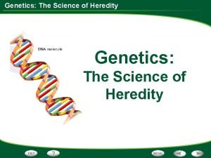 Genetics The Science of Heredity Genetics The Science