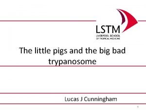 The little pigs and the big bad trypanosome