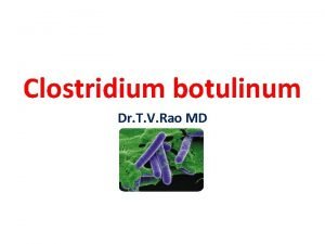 Clostridium botulinum Dr T V Rao MD Clostridium