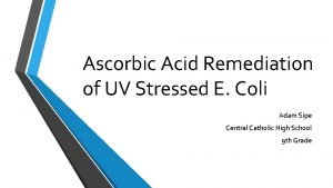 Ascorbic Acid Remediation of UV Stressed E Coli