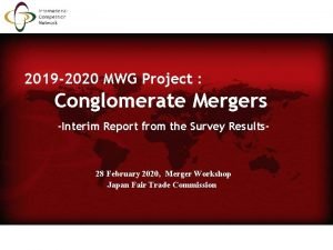 2019 2020 MWG Project Conglomerate Mergers Interim Report