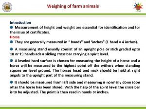 Methods of weighing animals