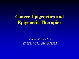 Cancer Epigenetics and Epigenetic Therapies Xiaole Shirley Liu