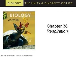 Chapter 38 Respiration Cengage Learning 2016 All Rights