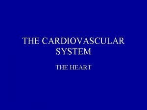 THE CARDIOVASCULAR SYSTEM THE HEART INTRODUCTION The cardiovascular