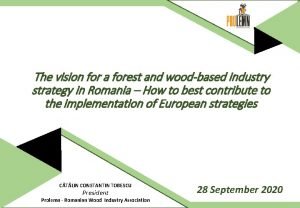 The vision for a forest and woodbased industry