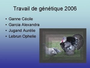 Travail de gntique 2006 Ganne Ccile Garcia Alexandra