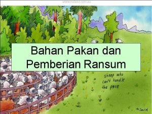 Bahan Pakan dan Pemberian Ransum Ransum Ransum sebagai