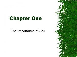 Chapter One The Importance of Soil The Importance
