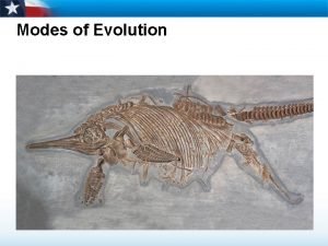 Modes of Evolution Speciation Extinction Macroevolution Major transformations