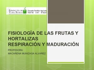 FISIOLOGA DE LAS FRUTAS Y HORTALIZAS RESPIRACIN Y