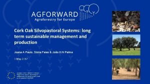 Cork Oak Silvopastoral Systems long term sustainable management