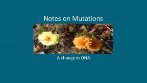 Notes on Mutations A change in DNA Mutations