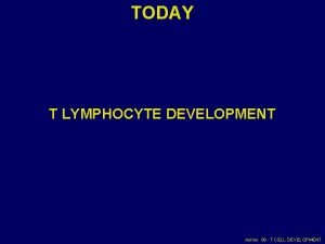 TODAY T LYMPHOCYTE DEVELOPMENT Asilmi 08 T CELL