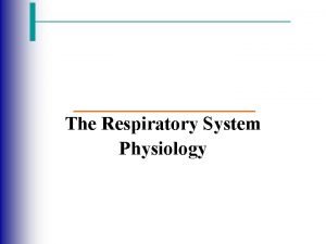 The Respiratory System Physiology Events of Respiration Physiology