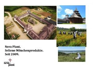 Nera Plant Seltene Mnchenprodukte Seit 2009 Konzept Einzigartigkeit