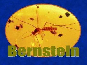 Was ist Bernstein Bernstein ist ein fossiles nicht