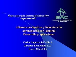 Grupo asesor para alianzas productivas FAO Segunda reunin