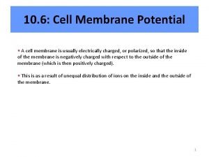 10 6 Cell Membrane Potential A cell membrane