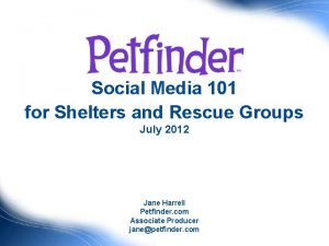 Social Media 101 for Shelters and Rescue Groups