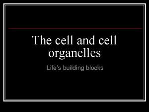 The cell and cell organelles Lifes building blocks