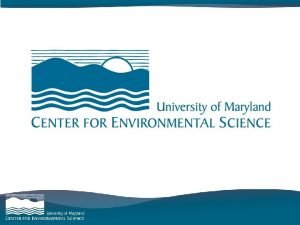 category goes here and here category goes here category goes here and here category goes here