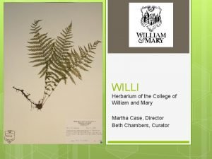 WILLI Herbarium of the College of William and