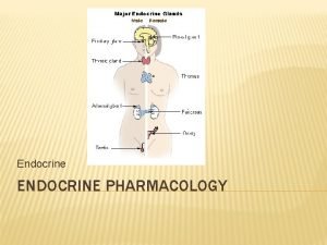 Endocrine ENDOCRINE PHARMACOLOGY THYROID Primary goal is to