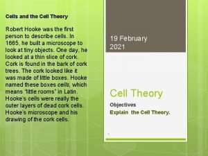 Cells and the Cell Theory Robert Hooke was